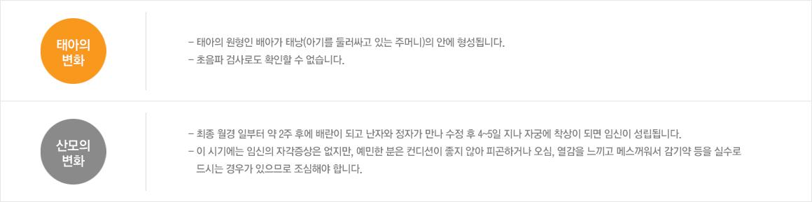 태아의변화:- 태아의 원형인 배아가 태낭(아기를 둘러싸고 있는 주머니)의 안에 형성됩니다./- 초음파 검사로도 확인할 수 없습니다. 산모의변화:- 최종 월경 일부터 약 2주 후에 배란이 되고 난자와 정자가 만나 수정 후 4~5일 지나 자궁에 착상이 되면 임신이 성립됩니다. - 이 시기에는 임신의 자각증상은 없지만, 예민한 분은 컨디션이 좋지 않아 피곤하거나 오심, 열감을 느끼고 메스꺼워서 감기약 등을 실수로 드시는 경우가 있으므로 조심해야 합니다.